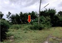 ที่ดินหลุดจำนอง ธ.ธนาคารอาคารสงเคราะห์ เพชรบูรณ์ เมืองเพชรบูรณ์ นางั่ว