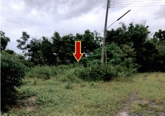 ที่ดินหลุดจำนอง ธ.ธนาคารอาคารสงเคราะห์ เพชรบูรณ์ เมืองเพชรบูรณ์ นางั่ว