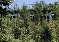 บ้านเดี่ยวหลุดจำนอง ธ.ธนาคารอาคารสงเคราะห์ เพชรบูรณ์ เมืองเพชรบูรณ์ นางั่ว