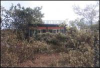 บ้านเดี่ยวหลุดจำนอง ธ.ธนาคารอาคารสงเคราะห์ เพชรบูรณ์ เมืองเพชรบูรณ์ นางั่ว