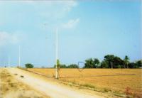 ที่ดินหลุดจำนอง ธ.ธนาคารอาคารสงเคราะห์ กาญจนบุรี เมืองกาญจนบุรี เกาะสำโรง