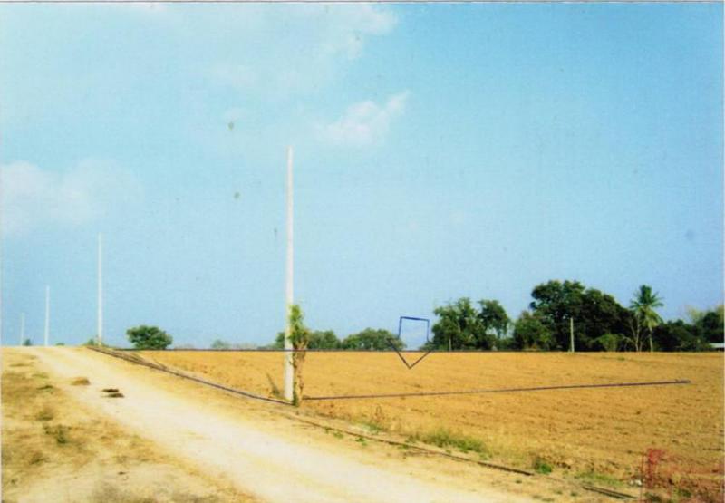 ที่ดินหลุดจำนอง ธ.ธนาคารอาคารสงเคราะห์ กาญจนบุรี เมืองกาญจนบุรี เกาะสำโรง