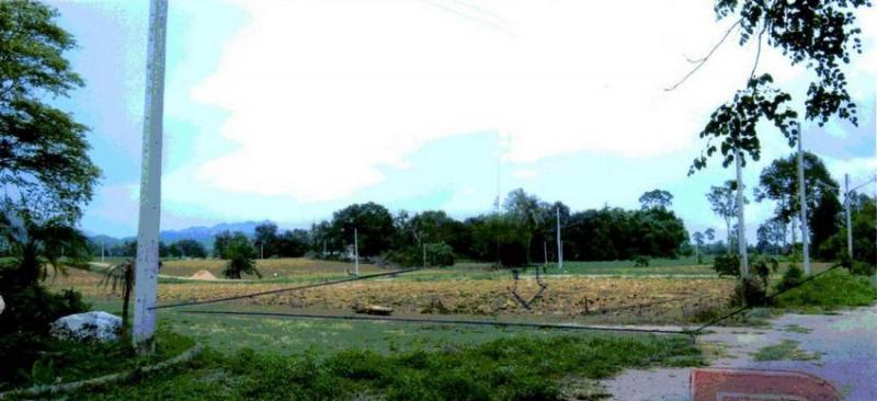 ที่ดินหลุดจำนอง ธ.ธนาคารอาคารสงเคราะห์ กาญจนบุรี เมืองกาญจนบุรี เกาะสำโรง