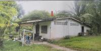 บ้านเดี่ยวหลุดจำนอง ธ.ธนาคารอาคารสงเคราะห์ กระบี่ เหนือคลอง เหนือคลอง