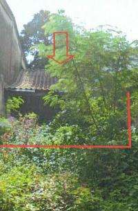 บ้านเดี่ยวหลุดจำนอง ธ.ธนาคารอาคารสงเคราะห์ สงขลา หาดใหญ่ ควนลัง