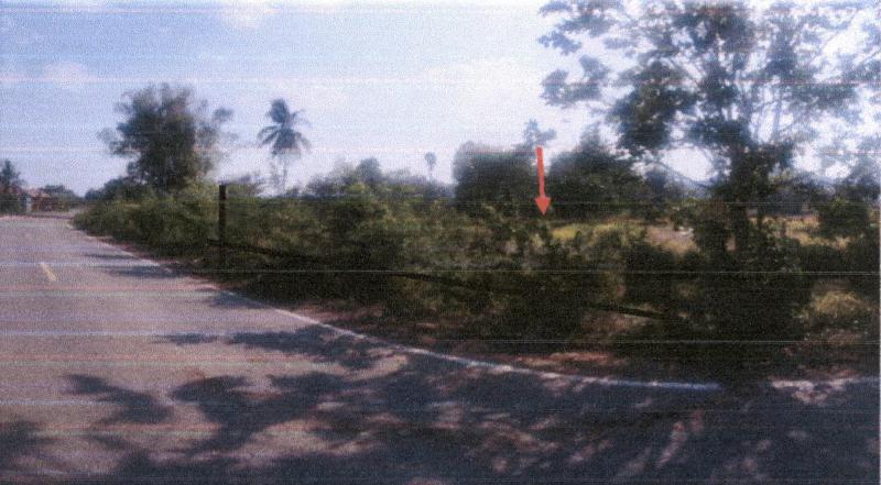 บ้านเดี่ยวหลุดจำนอง ธ.ธนาคารอาคารสงเคราะห์ เพชรบูรณ์ วิเชียรบุรี บึงกระจับ