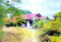 บ้านเดี่ยวหลุดจำนอง ธ.ธนาคารอาคารสงเคราะห์ บุรีรัมย์ เฉลิมพระเกียรติ เจริญสุข