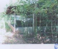 บ้านเดี่ยวหลุดจำนอง ธ.ธนาคารอาคารสงเคราะห์ อุบลราชธานี ตระการพืชผล คอนสาย