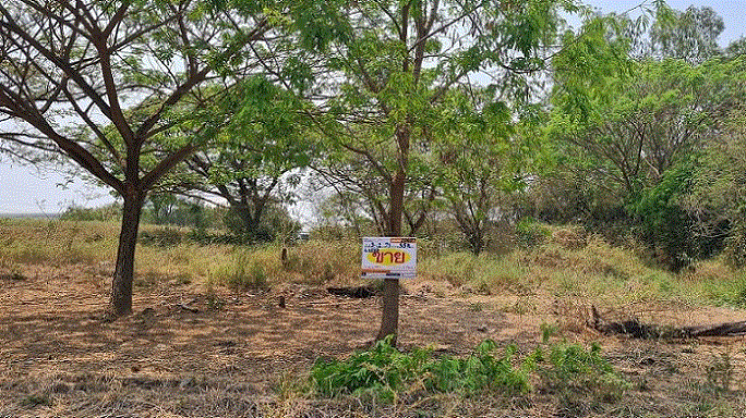 ที่ดินหลุดจำนอง ธ.ธนาคารกรุงเทพ พระนครศรีอยุธยา ท่าเรือ ศาลาลอย