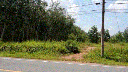 ที่ดินหลุดจำนอง ธ.ธนาคารกรุงเทพ สงขลา เทพา วังใหญ่