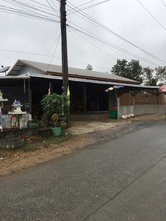 บ้านหลุดจำนอง ธ.ธนาคารกรุงเทพ อุดรธานี หนองวัวซอ โนนหวาย