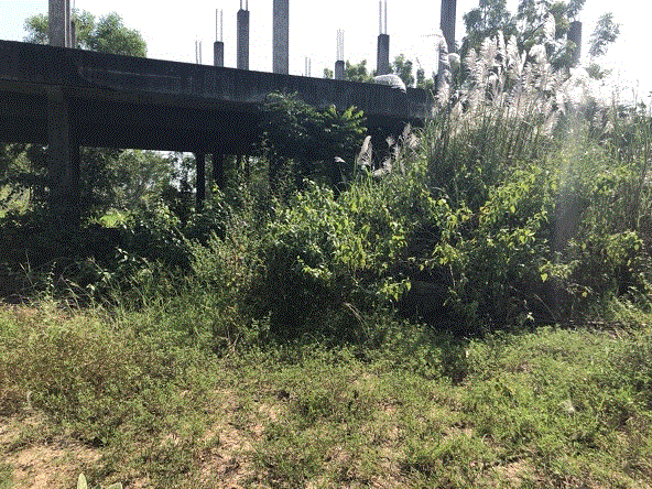 อพาร์ทเม้นท์/หอพักหลุดจำนอง ธ.ธนาคารกรุงเทพ ฉะเชิงเทรา บ้านโพธิ์ แหลมประดู่