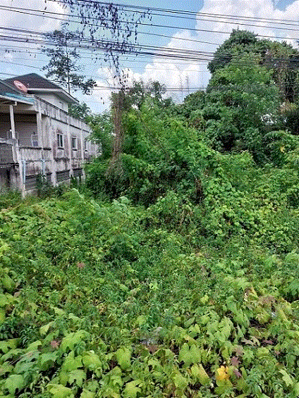 ที่ดินหลุดจำนอง ธ.ธนาคารกรุงเทพ กระบี่ อ่าวลึก อ่าวลึกเหนือ