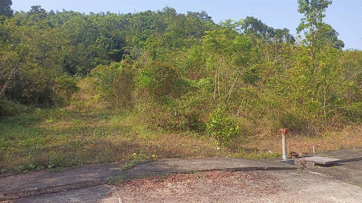 ที่ดินหลุดจำนอง ธ.ธนาคารกรุงเทพ สงขลา หาดใหญ่ คอหงส์