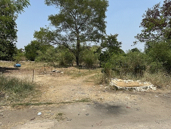 ที่ดินหลุดจำนอง ธ.ธนาคารกรุงเทพ ปทุมธานี สามโคก สามโคก